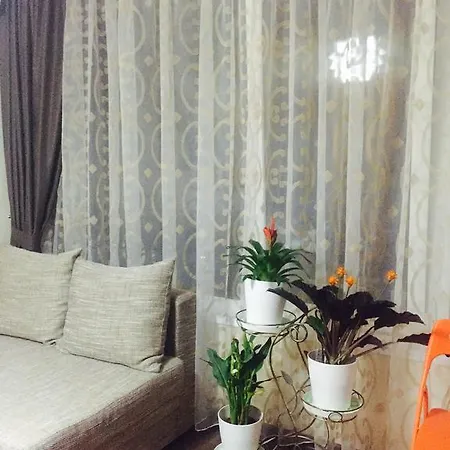 Orange In Royal City